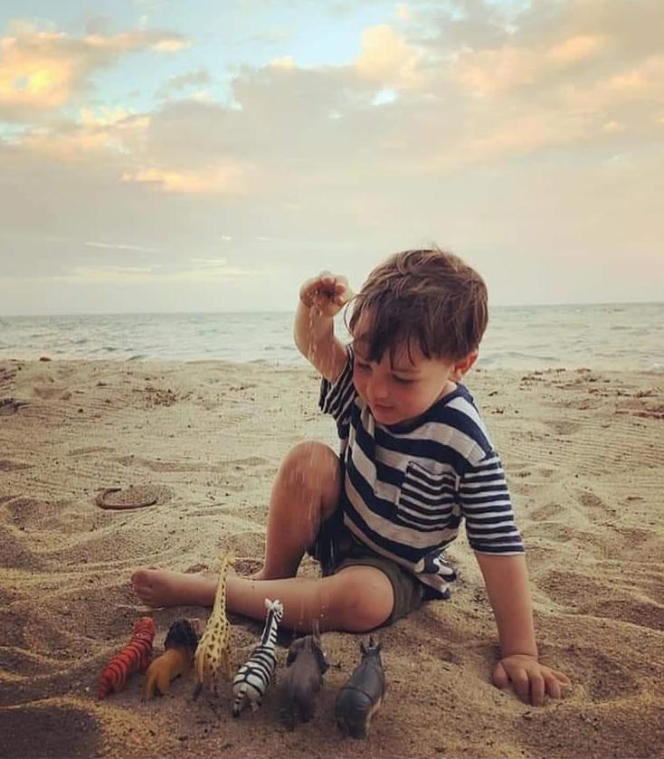 Dawson on beach
                  with hsi zoo