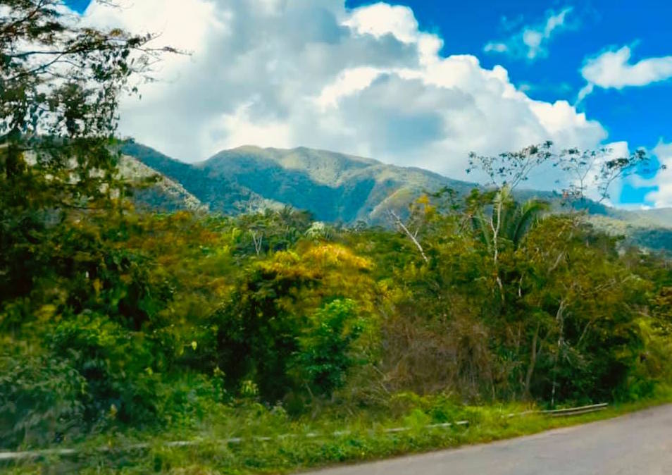 Drive to
                      Dangriga